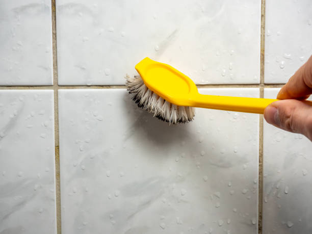 Best Mold Remediation  in New Brockton, AL