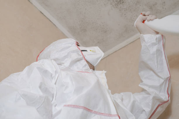 Best Attic Mold Removal  in New Brockton, AL
